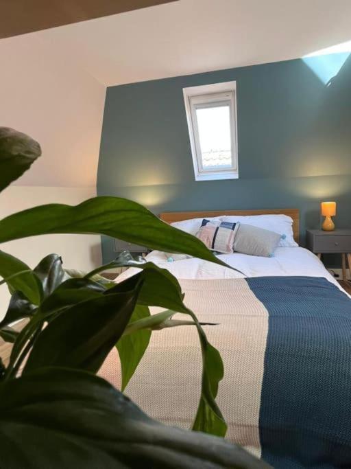 Apartment Cute Loft
